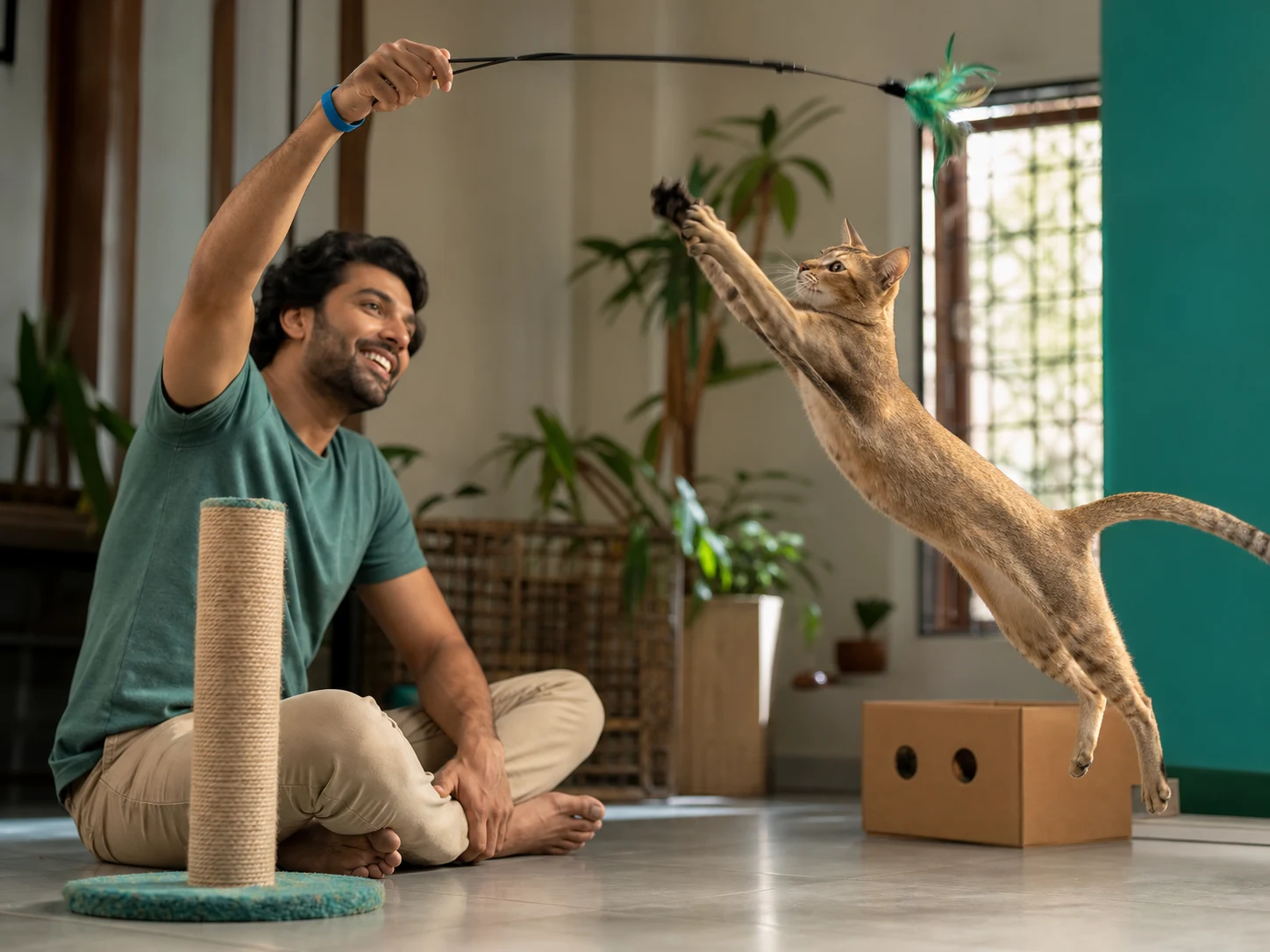 Indie cat playing with a wand toy in an Indian apartment