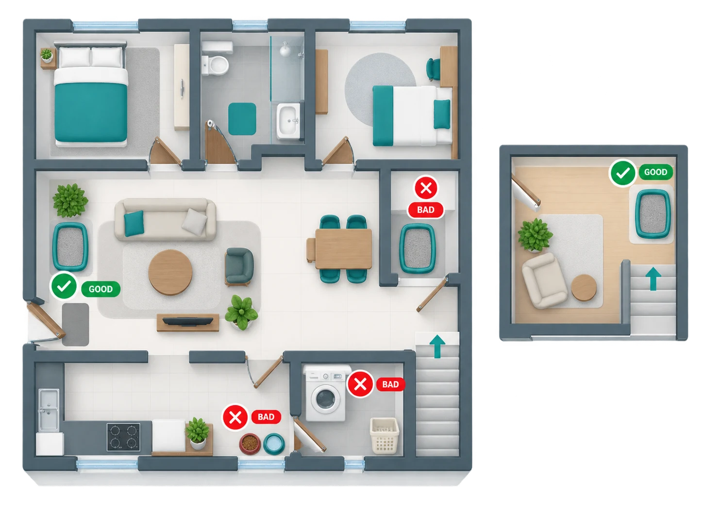 Good and bad litter box locations in an Indian flat