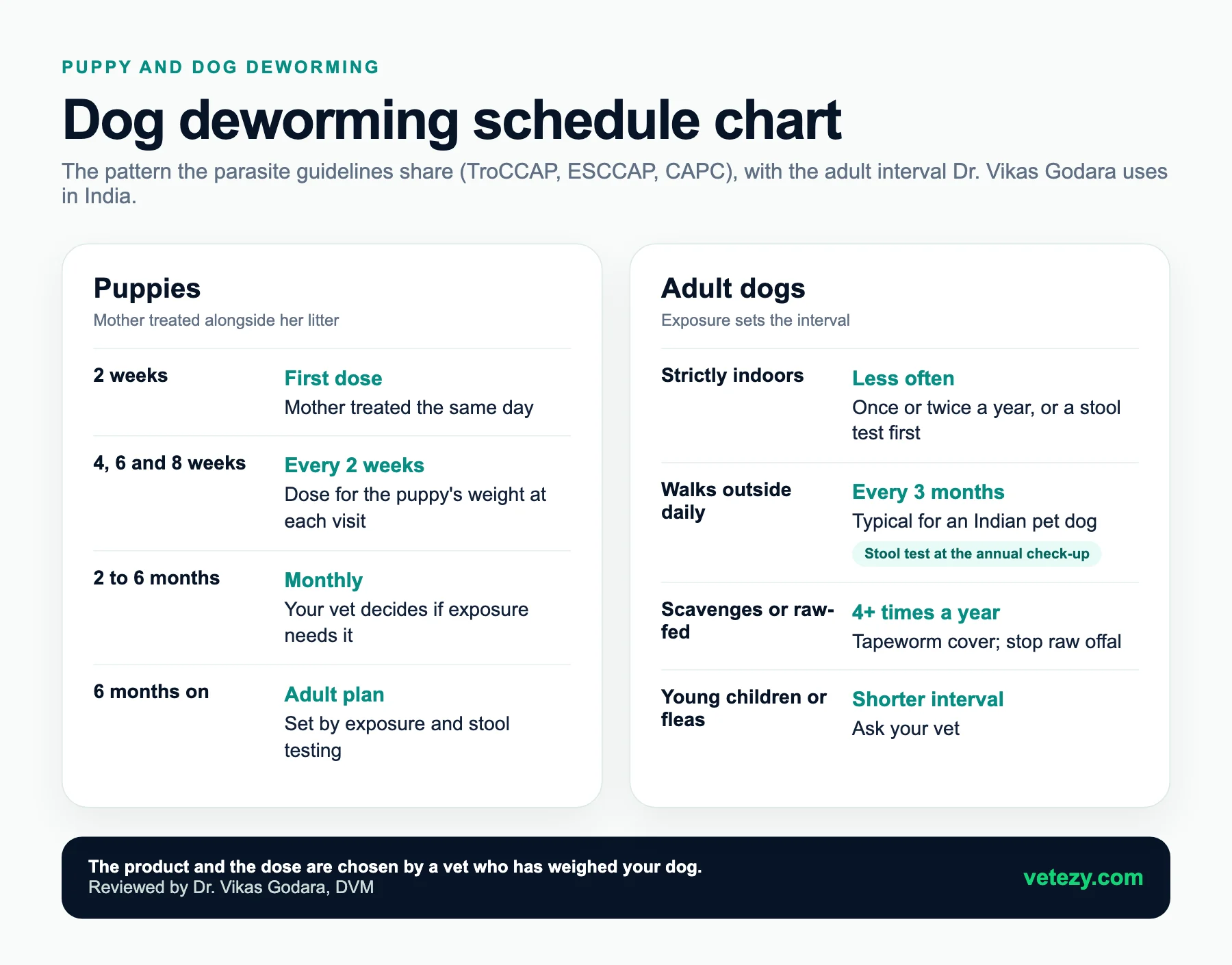 Dog deworming schedule chart. Puppies: first dose at 2 weeks, then every 2 weeks to 8 weeks, monthly from 2 to 6 months, then an adult plan. Adult dogs: strictly indoors less often, daily walks every 3 months, scavenging or raw-fed 4 or more times a year, young children or fleas a shorter interval.