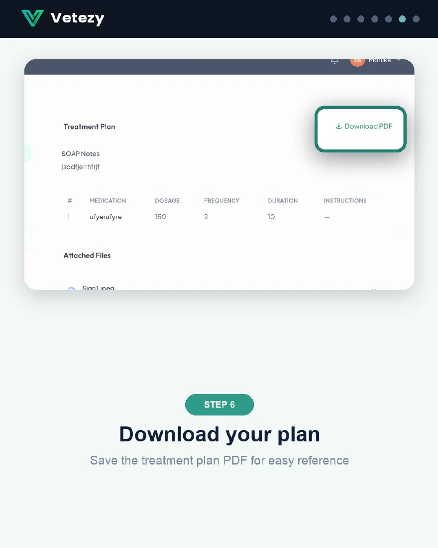 Vetezy guide screen showing how a pet parent downloads the treatment plan