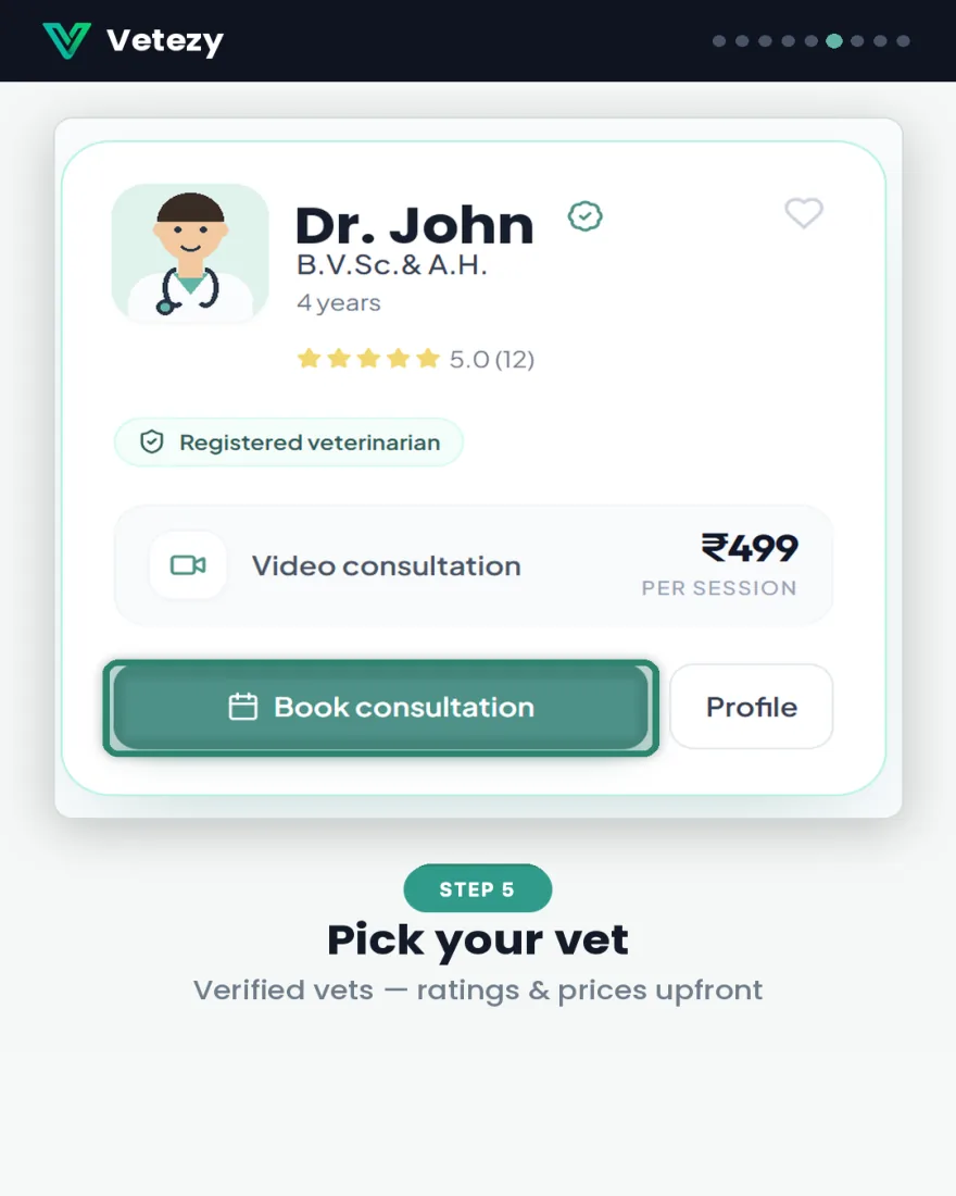 Vetezy guide screen showing how a pet parent chooses a veterinarian