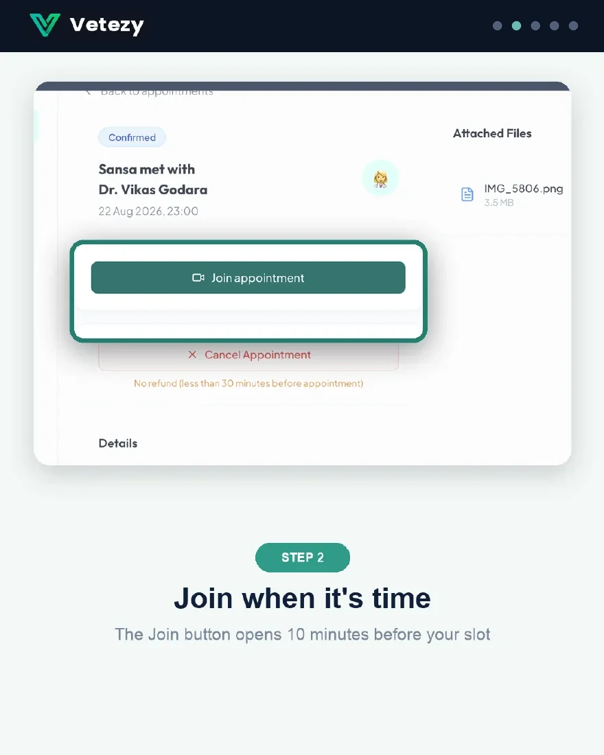 Step 2 — join when it's time, the button opens 10 minutes before your slot