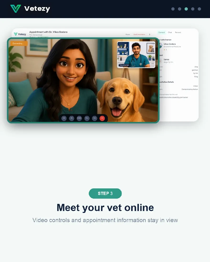 Step 3 — meet your vet online with video controls and appointment info in view