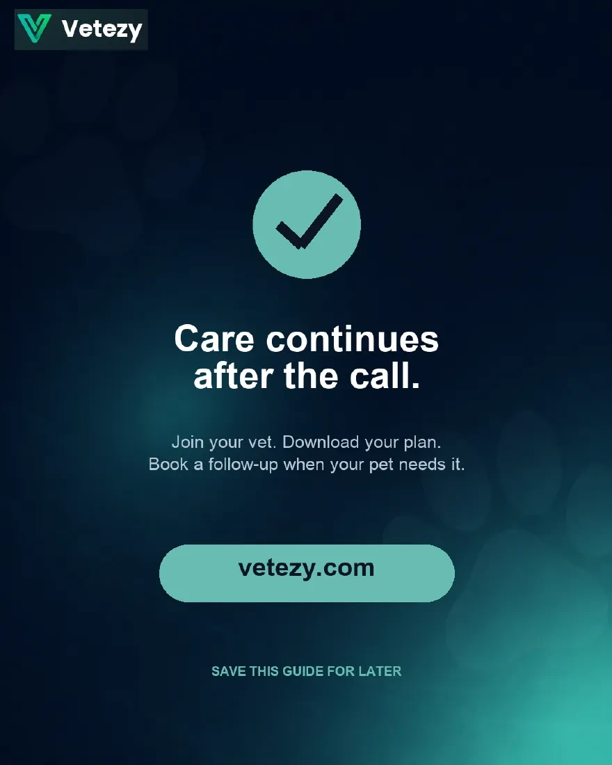 Care continues after the call — join, download your plan, follow up
