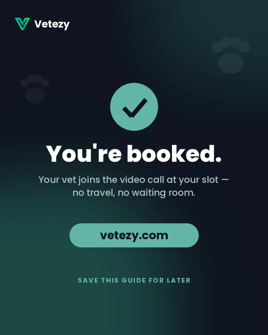You're booked — your vet joins the video call at your slot